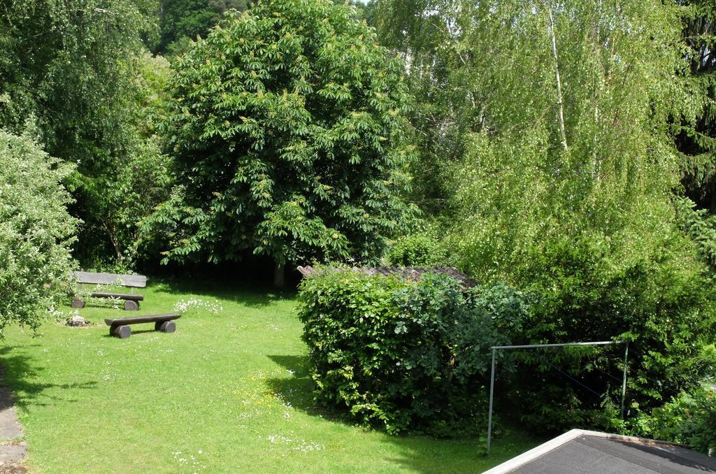 Schoene Aussicht Bad Konig Luaran gambar